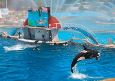 vallauris2017_decouvrir_alentours-marineland